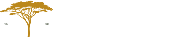 ahsap bahçe şemsiyesi - ahşap şemsiye